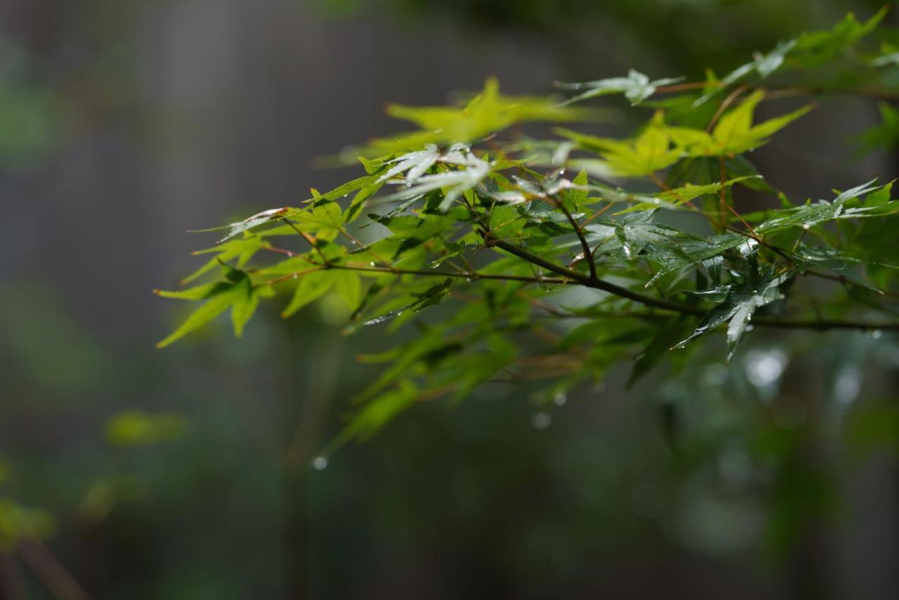 滔々 御崎 町家の宿 Toutou Onzaki Machiya No Yado Kurashiki Buitenkant foto